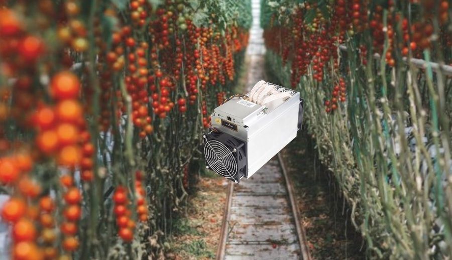 crypto mining greenhouse
