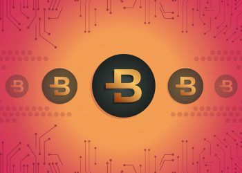 bytecoin.org photo