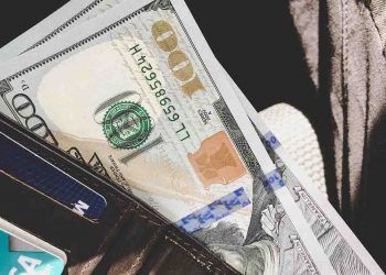 piviso / Pixabay.com / Dollar (USD)