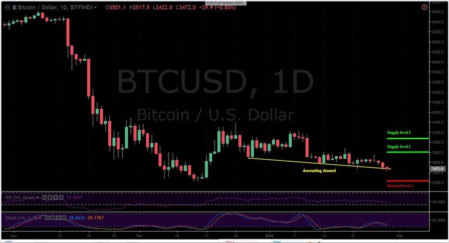 BTC -USD 1D Chart - January 29