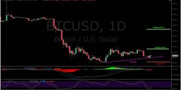 BTC/USD 1D Chart / Bitfinex / Bitcoin Price Analysis