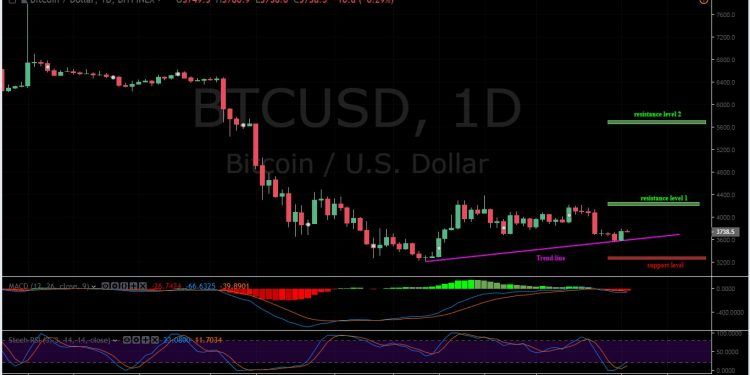 Btc Usd Chart Bitfinex