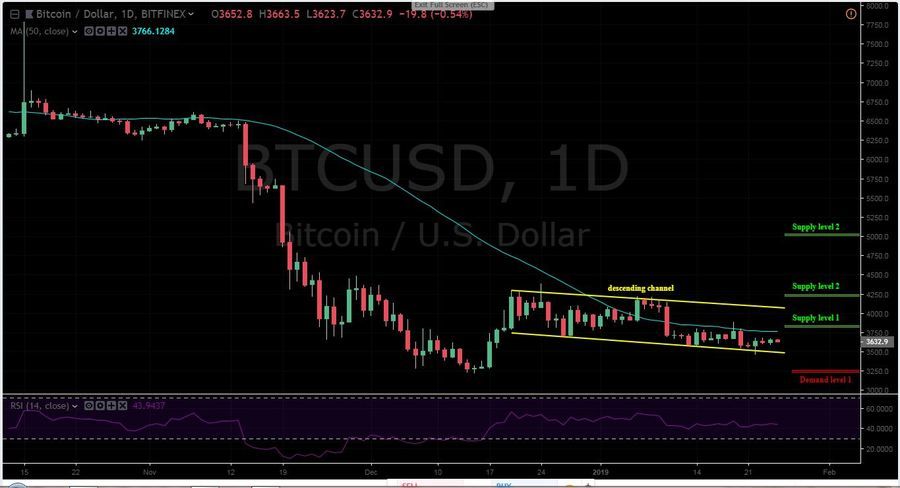 BTC-USD 1D - January 25