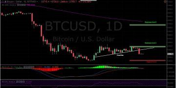 BTC/USD 1 Day Chart, Bitfinex.