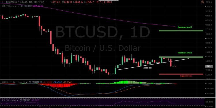 Bitfinex Chart Btc Usd