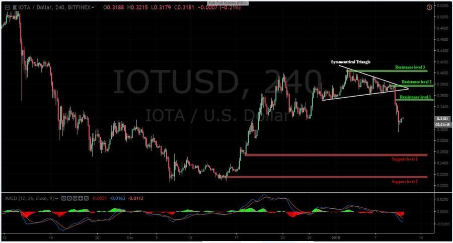 Iota Usd Chart