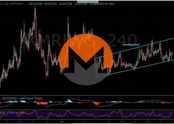 Monero (XMR) Price Analysis – January 31. XMRBTC in Ascending Channel