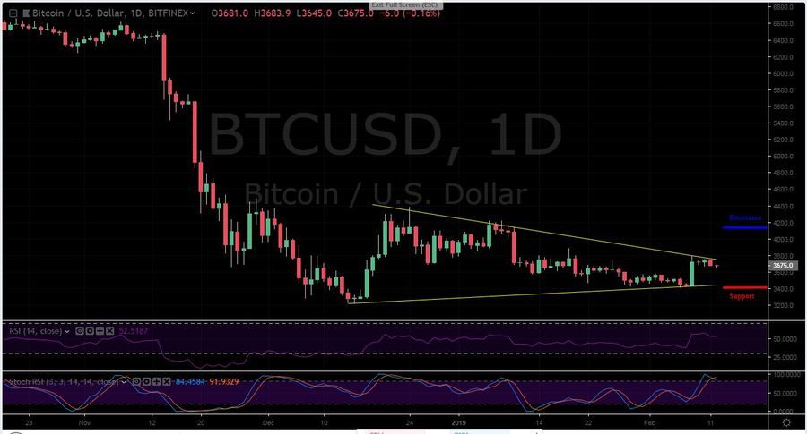 BTC-USD 1D - February 12