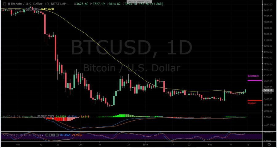 BTC-USD 1D - February 18