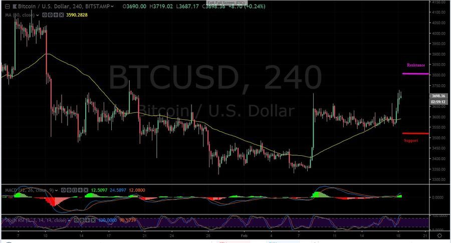 BTC-USD 4H - February 18