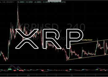 Bullish Momentum- XRP-USD is Gradually Maintaining a Higher High