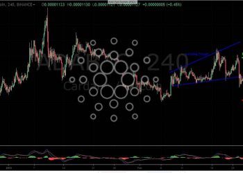 Cardano (ADA) Price Analysis – February 25. Selling Pressure is Around the Corner
