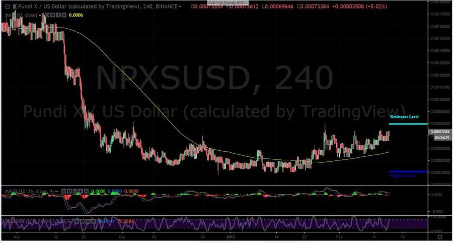 NPXS-USD 4H Chart - February 15