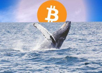 Bitcoin Whales / Pixabay.com / Editing