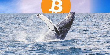 Bitcoin Whales / Pixabay.com / Editing