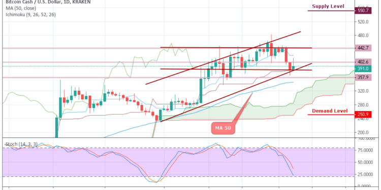 Bch Chart