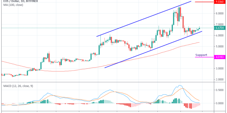 Eos Ico Price Chart