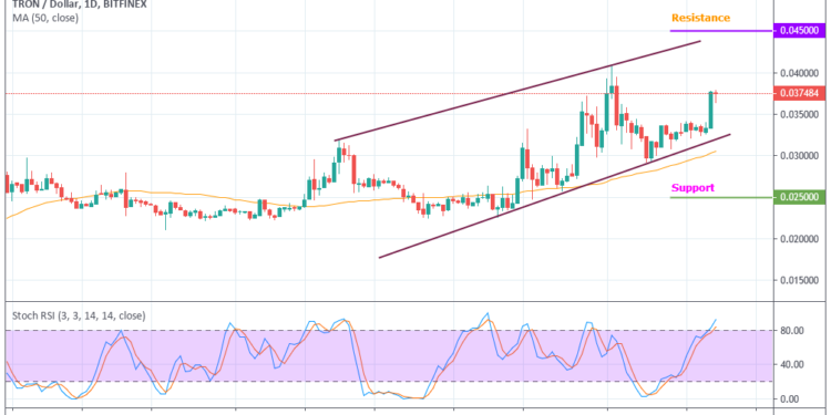 Tron (TRX/USD) – Bulls Are Struggling To Take Over the Market