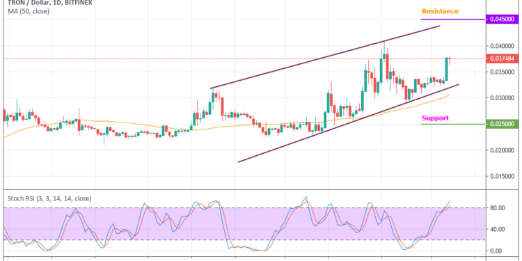 Trx Chart