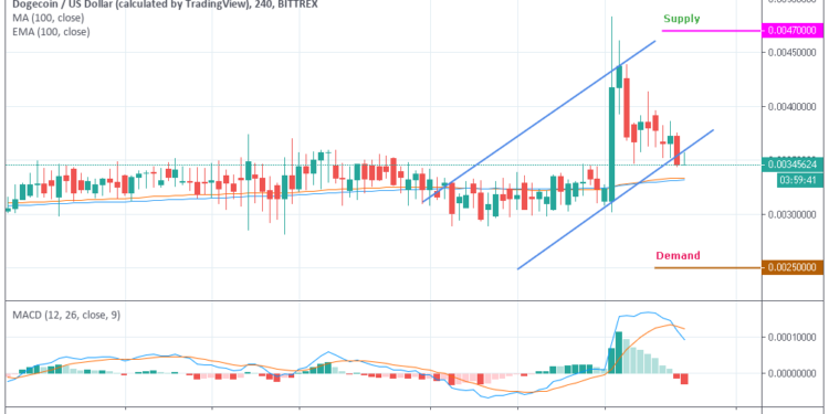 DOGEUSD - Hourly Chart