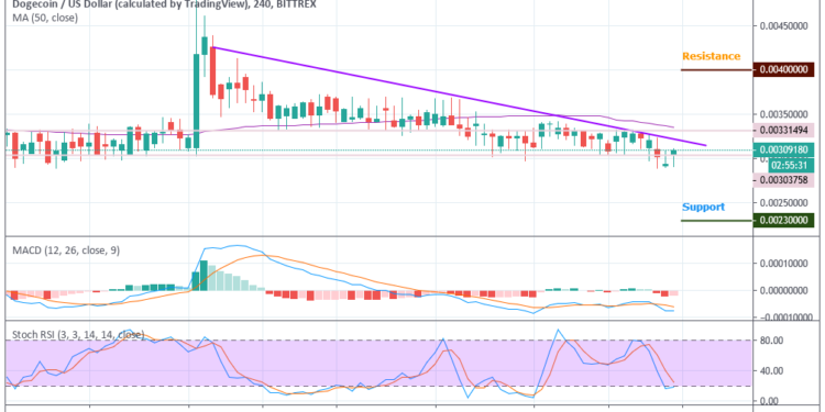 Dogecoin Price Chart