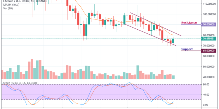 Litecoin Daily Price Chart