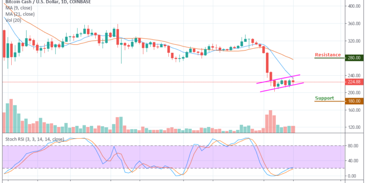 Bitcoin Cash Chart Analysis