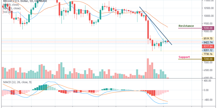 Bitcoin Price Daily Chart