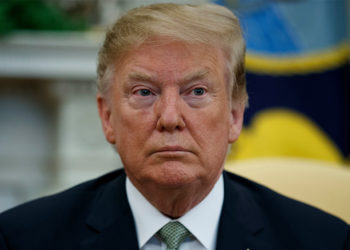 Trump Ignores Twitter After Reinstatement By Elon Musk