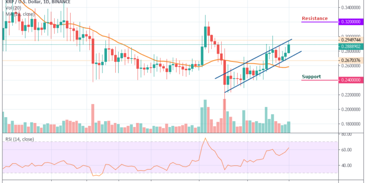 Xrp Usd Chart