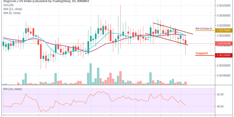 Doge Price Chart