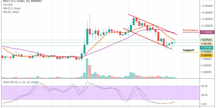 Neo Chart Price