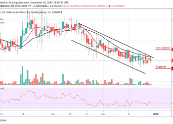 DOGEUSD - Daily Chart