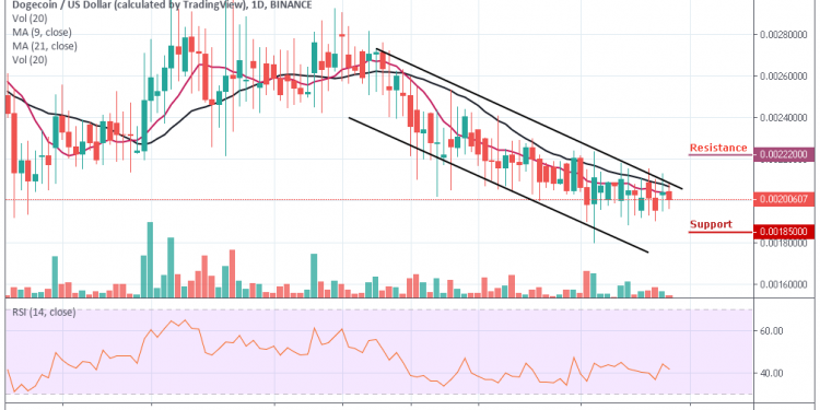 dogecoin usd investing