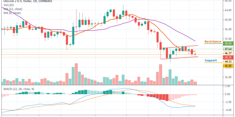 Usd Daily Chart