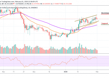 BNBUSD - Daily Chart