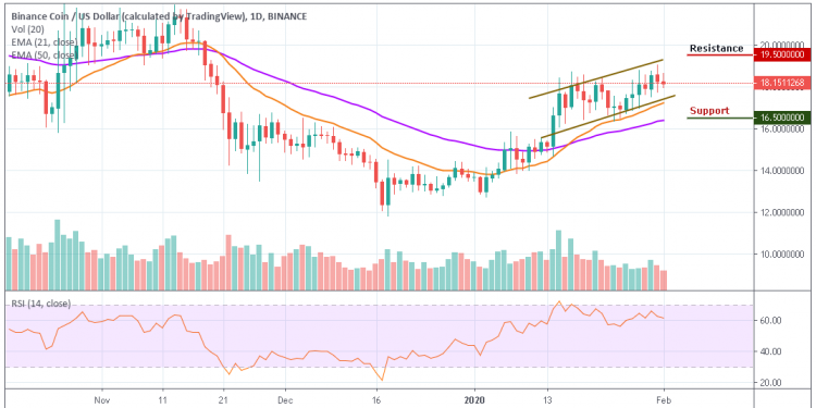BNBUSD - Daily Chart