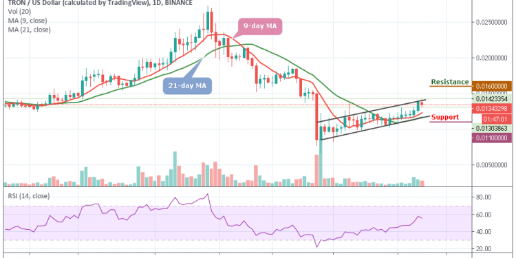 TRXUSD - Daily Chart