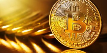 660 bitcoin cash to us dollars