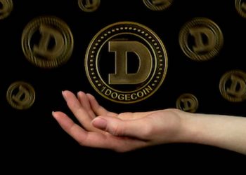 Dogecoin is a long term investment