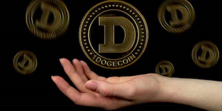 Dogecoin is a long term investment