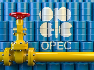 OPEC's U.S. Shale Worries Recede As It Slashes Forecast