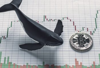 Bitcoin Under Pressure As Another Whale Dumps Nearly 10K BTC
