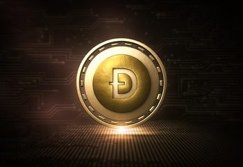 Dogecoin Plunges By 23% As Elon Musk Admonishes DOGE Rich List