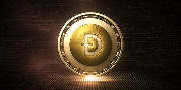 Dogecoin Plunges By 23% As Elon Musk Admonishes DOGE Rich List