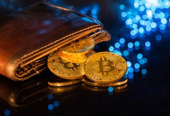 Elon Musk Discredits Hosted Cryptocurrency Wallets