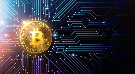 New Investors Taking Profits As Long-Term BTC Investors Hodl