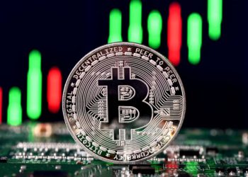 Bitcoin Gained 300% In The Year Before Last Halving – What Happens In 2023?