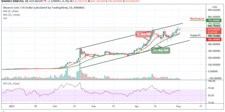 BNBUSD - Daily Chart