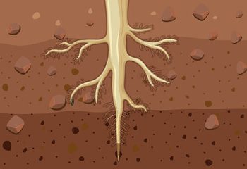 Taproot Upgrade Finally Goes Live On Bitcoin Mainnet